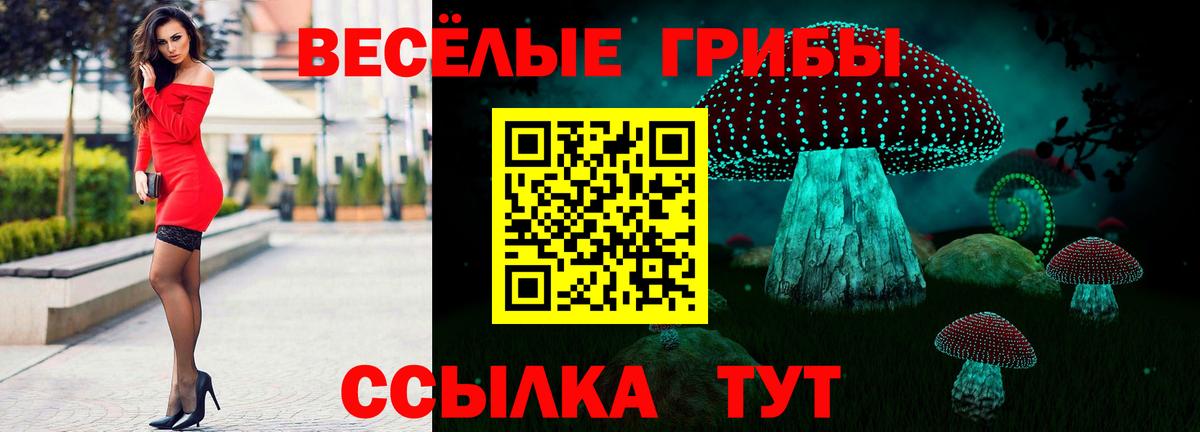 Галлюциногенные грибы Magic Shrooms Тула