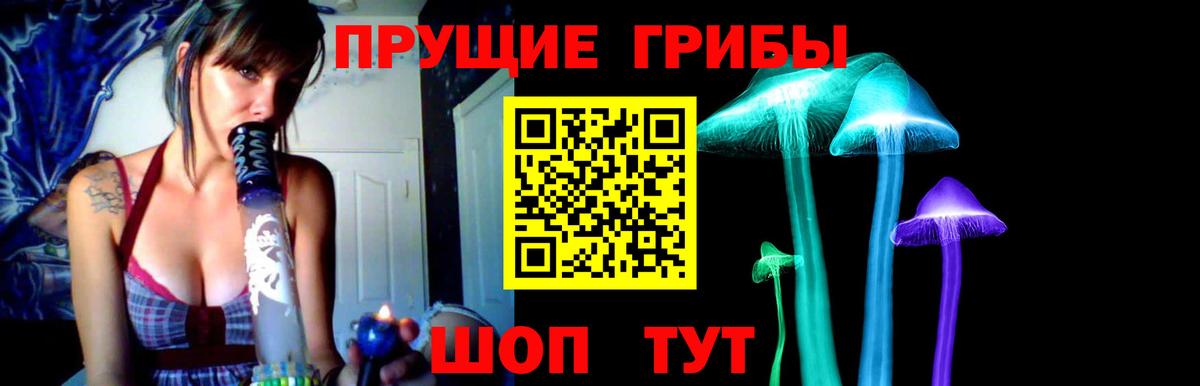 Тула  купить  цена  Вход с VPN  Псилоцибиновые грибы мухоморы 